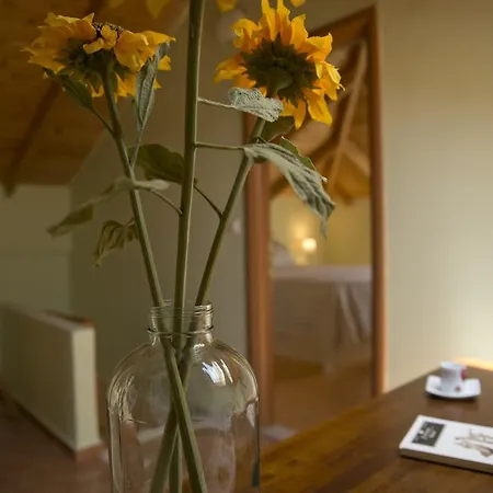 Agrotospita Country Country house
