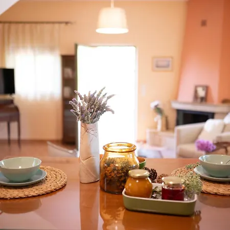Country house Agrotospita Country *