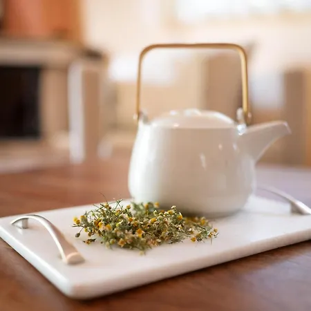 Hétvégi ház Agrotospita Country *