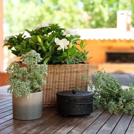 Hétvégi ház Agrotospita Country *