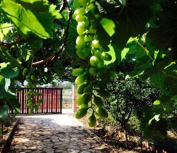 Agrotospita Country 乡村民宿