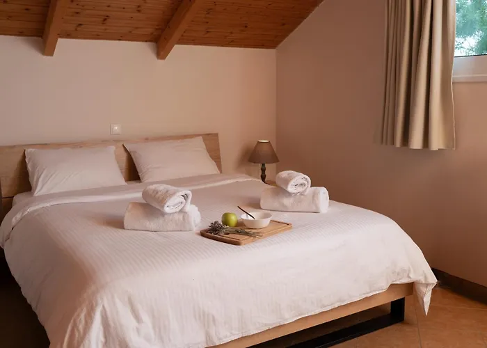 Agrotospita Country 乡村民宿