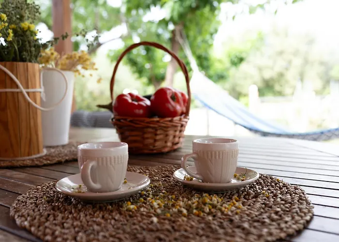 乡村民宿 Agrotospita Country