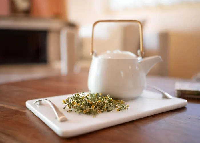 Lantställe Agrotospita Country *