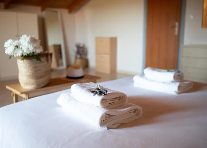 乡村民宿 Agrotospita Country 纳夫普利翁