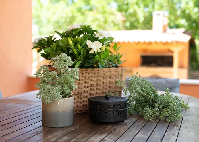 乡村民宿 Agrotospita Country *