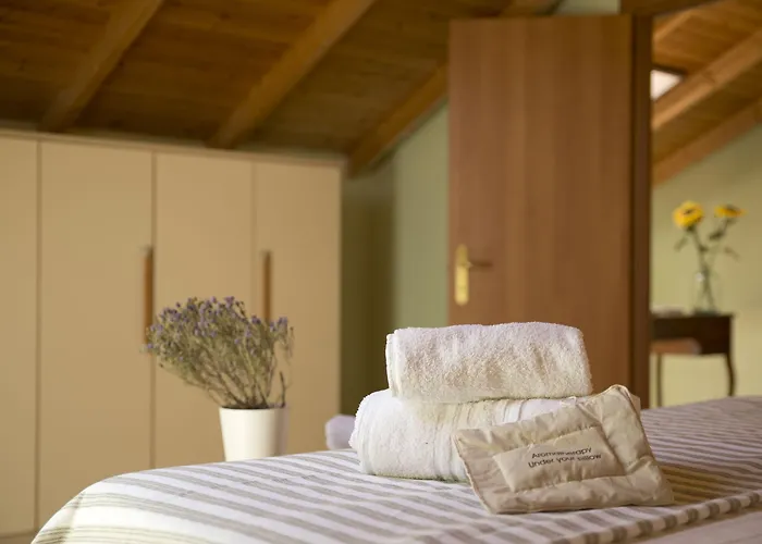 Agrotospita Country * 纳夫普利翁